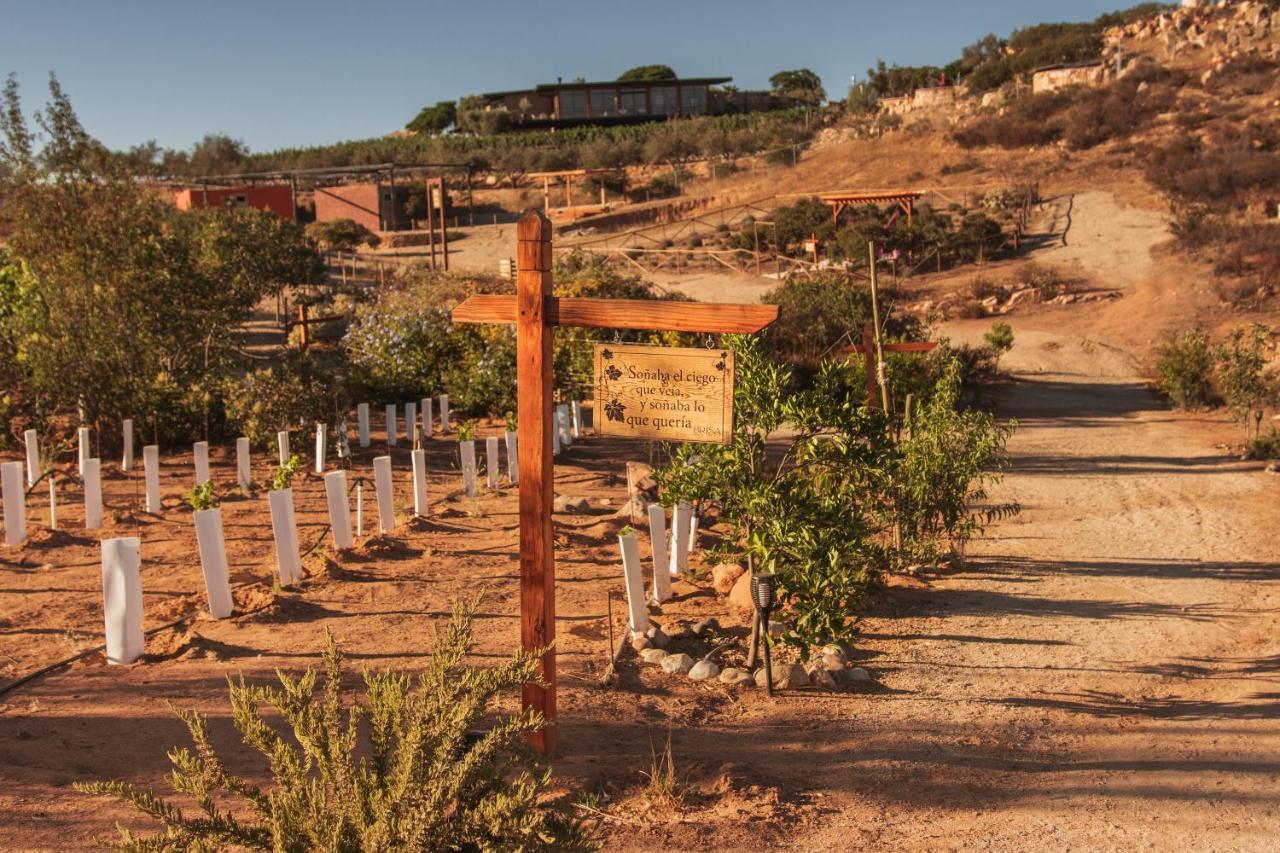 Brisa Del Valle Hotel Boutique Valle de Guadalupe Exterior foto